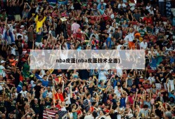 nba皮蓬(nba皮蓬技术全面)