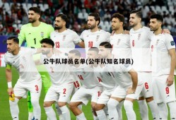公牛队球员名单(公牛队知名球员)
