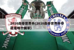 2010南非世界杯(2010南非世界杯夺冠是哪个国家)