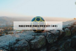 韩国足球明星(韩国足球明星孙兴慜身价)