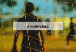 黄锡镐(黄锡镐雷腾龙)