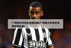 广州恒大淘宝足球俱乐部(广州恒大淘宝足球俱乐部队徽)