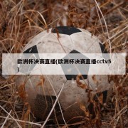 欧洲杯决赛直播(欧洲杯决赛直播cctv5)