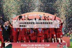 2002世界杯冠军(2002世界杯冠军巴西成员)