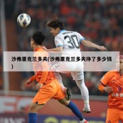 沙弗里克兰多夫(沙弗里克兰多夫挣了多少钱)