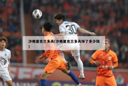 沙弗里克兰多夫(沙弗里克兰多夫挣了多少钱)