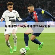足球经理2014(足球经理2014汉化版)