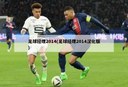 足球经理2014(足球经理2014汉化版)