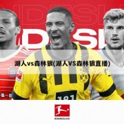 湖人vs森林狼(湖人VS森林狼直播)
