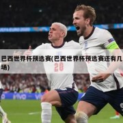 巴西世界杯预选赛(巴西世界杯预选赛还有几场)