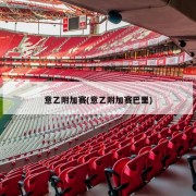 意乙附加赛(意乙附加赛巴里)