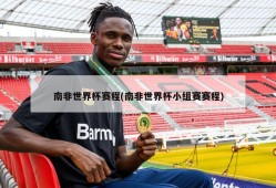 南非世界杯赛程(南非世界杯小组赛赛程)