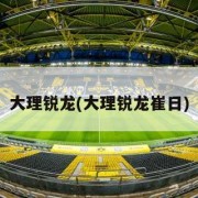 大理锐龙(大理锐龙崔日)