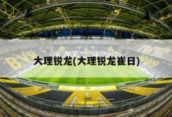 大理锐龙(大理锐龙崔日)