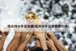 热火对小牛总决赛(热火小牛总决赛第六场)