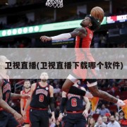 卫视直播(卫视直播下载哪个软件)