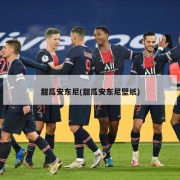 甜瓜安东尼(甜瓜安东尼壁纸)