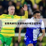 史蒂夫纳什(史蒂夫纳什有总冠军吗)