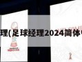 足球经理(足球经理2024简体中文版)