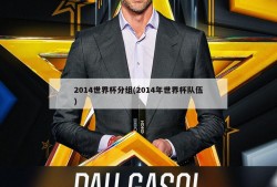 2014世界杯分组(2014年世界杯队伍)