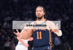 排球风云(排球风云吧)