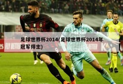 足球世界杯2014(足球世界杯2014年冠军得主)