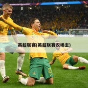 英超联赛(英超联赛农场主)