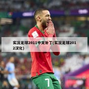 实况足球2011中文补丁(实况足球2012汉化)