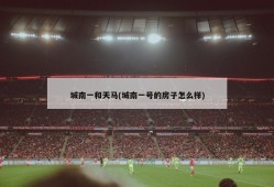 城南一和天马(城南一号的房子怎么样)