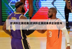 欧洲杯比赛结果(欧洲杯比赛结果表全部查询)
