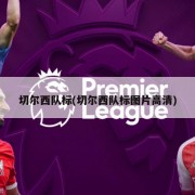 切尔西队标(切尔西队标图片高清)