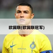 欧国联(欧国联冠军)