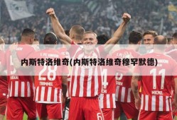 内斯特洛维奇(内斯特洛维奇穆罕默德)