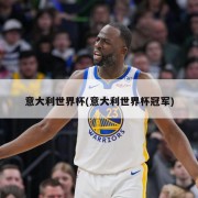 意大利世界杯(意大利世界杯冠军)