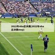 2022年nba总决赛(2022年nba总决赛mvp)
