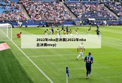 2022年nba总决赛(2022年nba总决赛mvp)
