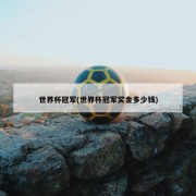 世界杯冠军(世界杯冠军奖金多少钱)
