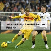 北京马拉松比赛(北京马拉松比赛2023路线图最新)