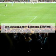 羽毛球运动员王琳(羽毛球运动员王琳的爸妈)