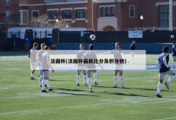 法国杯(法国杯最新比分及积分榜)