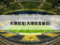 大理锐龙(大理锐龙崔日)