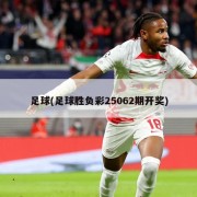 足球(足球胜负彩25062期开奖)