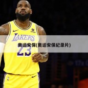奥运安保(奥运安保纪录片)