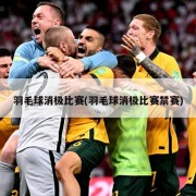羽毛球消极比赛(羽毛球消极比赛禁赛)