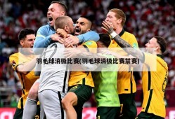 羽毛球消极比赛(羽毛球消极比赛禁赛)