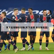 天下足球斯科尔斯(天下足球 索尔斯克亚)