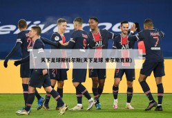 天下足球斯科尔斯(天下足球 索尔斯克亚)