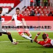 附加赛nba规则(附加赛nba什么意思)