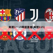 央视1一15频道直播(央视115)