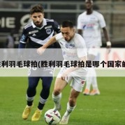 胜利羽毛球拍(胜利羽毛球拍是哪个国家的)